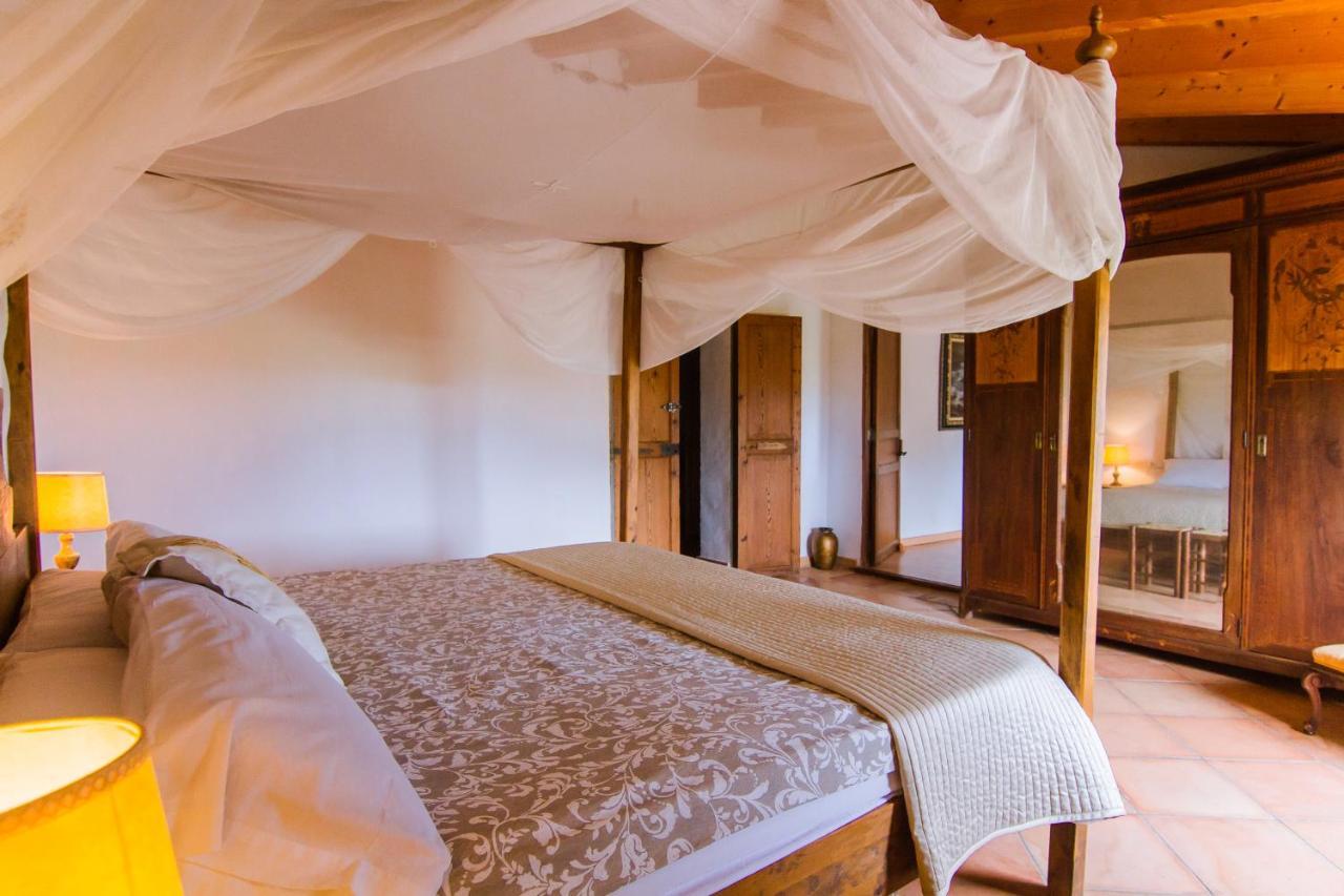 Agroturismo Son Sant Andreu Petra  Exterior foto